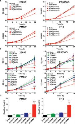 Curcumin Oxidation Is Required for Inhibition of Helicobacter pylori Growth, Translocation and Phosphorylation of Cag A